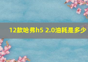 12款哈弗h5 2.0油耗是多少